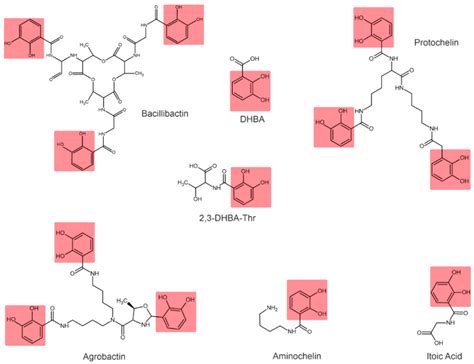 Plants | Free Full-Text | Bacterial Siderophores: Classification, Biosynthesis, Perspectives of ...