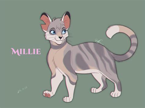 Millie design - Warriors Cats by AngelDalet on DeviantArt