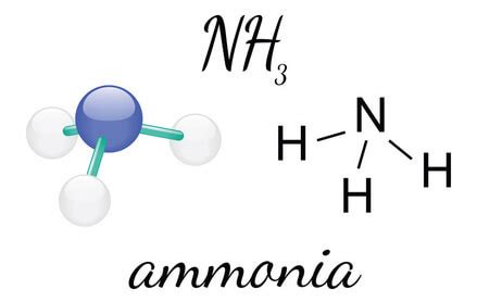 Ammonia Gas - Definition, Uses, and Detection