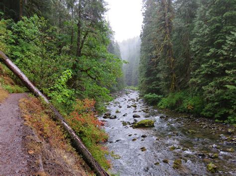 Places, Words, Dreams — Salmon River Trail, Oregon