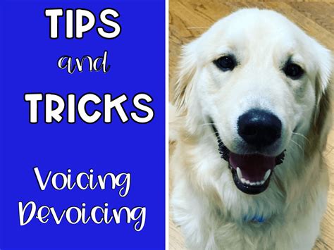 What is Devoicing/Voicing? Tips and Tricks: /P/ and /B/ Sounds (With ...