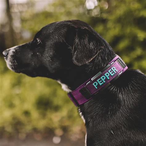 1.5" Extreme Personalized Fi Collar Band - Tactipup