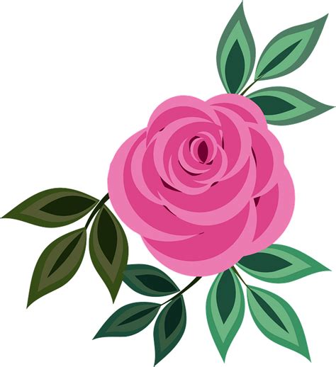 Pink Rose clipart. Free download transparent .PNG | Creazilla