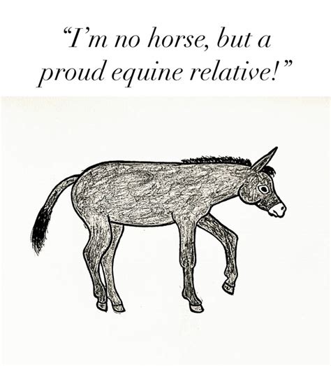 A Donkey With Quotes by jonstallion on DeviantArt