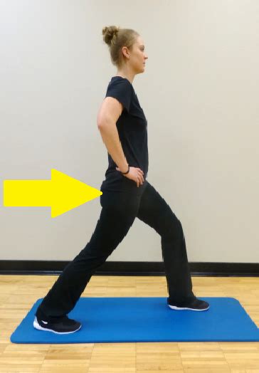 Hips - Stretching, Exercises, & Posture | Work-Fit