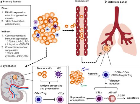 Lung Cancer Metastasis Sites