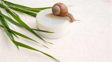 Where to Put Snail Mucin in Your Skincare Routine? - Dazzle With Sahar