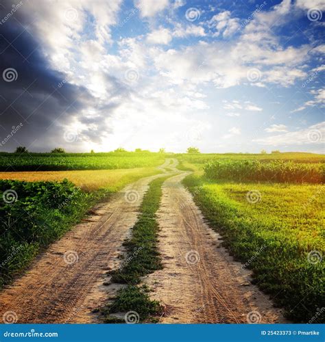 Rural road stock image. Image of field, horizon, lawn - 25423373