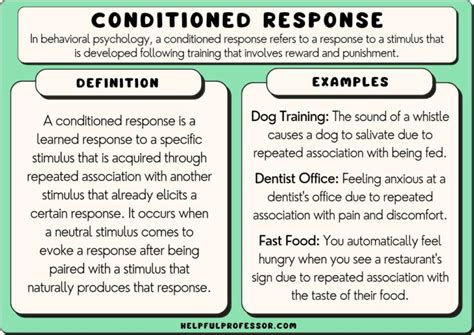 10 Conditioned Response Examples (2024)