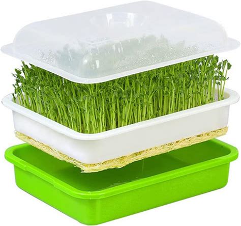 Amazon.com : Sprouting Kit Starter, Sprouter for Sprouting Seeds Square ...