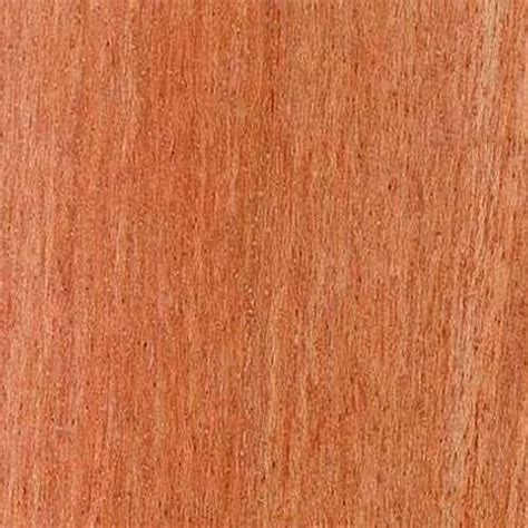 Dark Red Meranti Wood at Rs 751/cubic feet | Meranti Wood in New Delhi ...