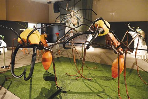 World Touring Exhibitions | Hire Insects Exhibition