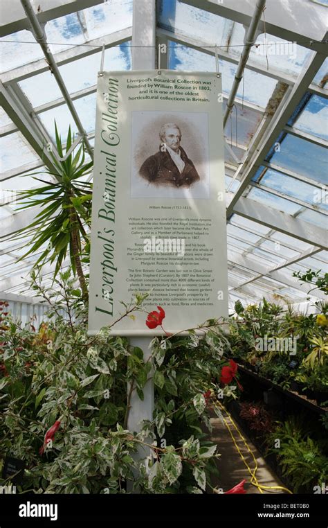 Liverpool's botanical collection housed in greenhouses at Croxteth Hall ...