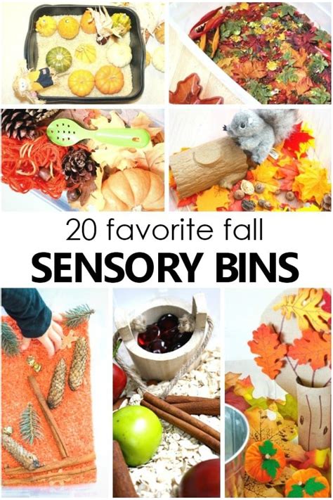 20 Must-Try Fall Theme Sensory Bins - Fantastic Fun & Learning