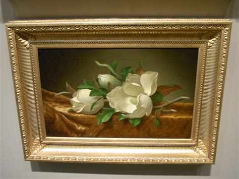 Magnolias on Gold Velvet Cloth by Martin Johnson Heade - H… | Flickr