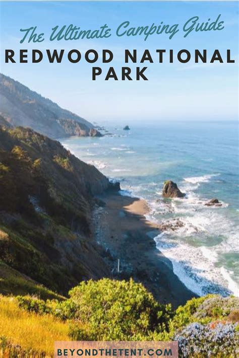 The Ultimate Guide to Camping in Redwood National Park | Redwood national park, National parks ...