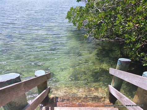 Bonefish Pond National Park Nassau-Crystal clear mangrove park - eNidhi India Travel Blog