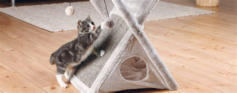 The Best Cat Hammocks in 2022 | My Pet Needs That