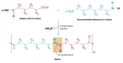 Chemical structure of nylon [11] | Download Scientific Diagram