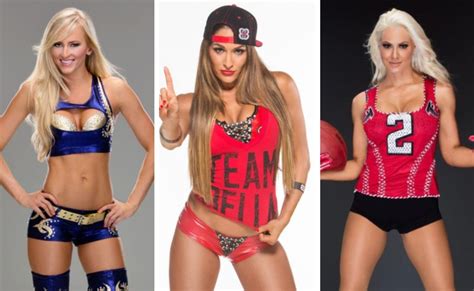 In Pictures: Check Out 7 Hottest WWE Divas