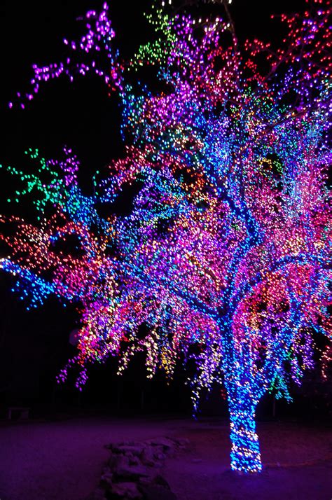 Christmas Lights. :) | Navidad al aire libre, Navidad y Manualidades ...