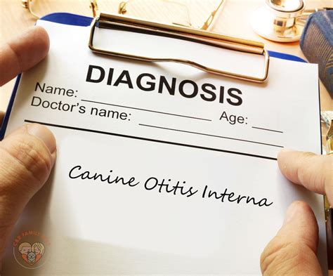 Canine Otitis Interna - C&R Family Pets