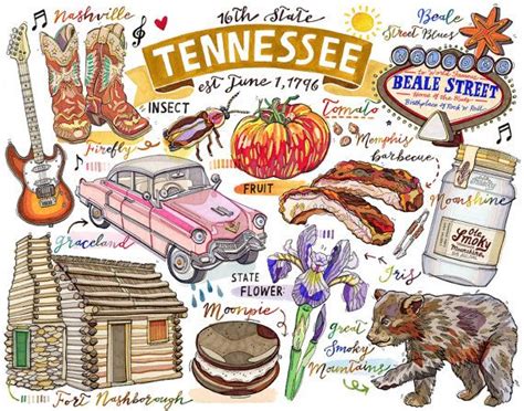 an illustrated map of tennessee with all the things to see