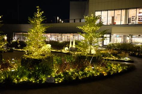 Winter Lights Garden Perie Chiba 2017 | DSCF4260 | Hideya HAMANO | Flickr