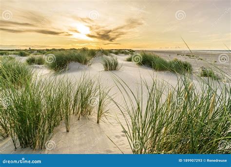 The Dunes At Kattegat, Skagen, Denmark Stock Photography | CartoonDealer.com #170262110