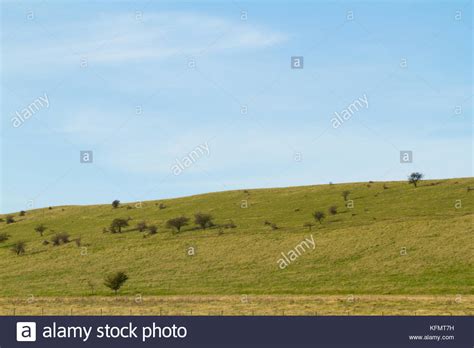A pleasant view of the Ivinghoe Hills which make up part of the ...