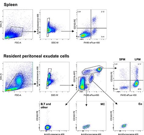 Anti-mouse CD163: A macrophage marker for flow cytometry