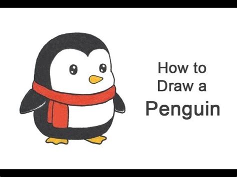 How To Draw A Cute Penguin Cartoon