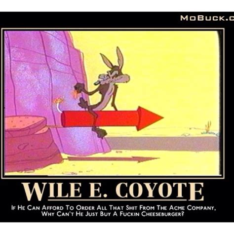 Wile E. Coyote Paradox | Very demotivational, Funny pictures, Humor