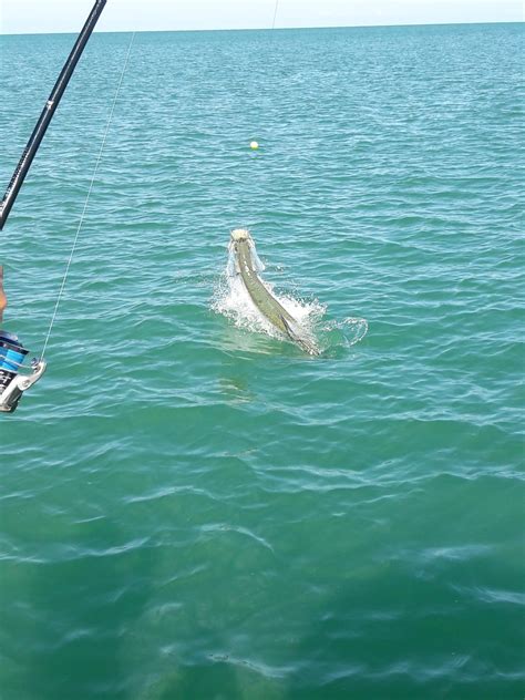 Fishing Photos – Captiva Island Charters