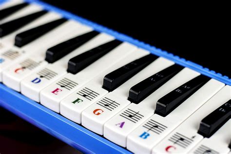 Piano Stickers for 32 Key Melodica-Transparent and Removable – Quality ...