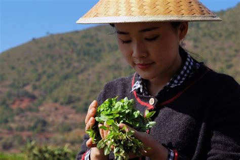 She moved back to her Chinese village to take care of her ailing father. Now Dianxi Xiaoge’s an ...