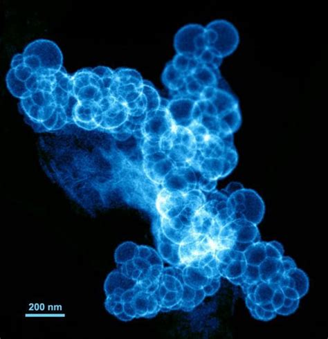 Paladium Platinum Catalyst : New Energy and Fuel