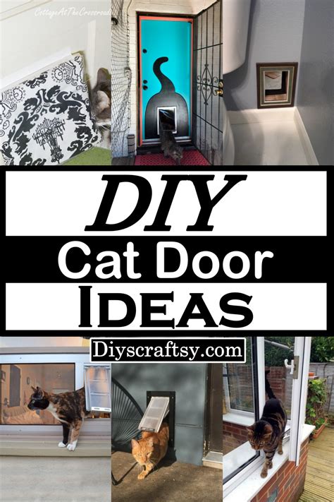 15 DIY Cat Door Ideas For Pet Lovers - DIYsCraftsy