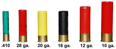 [B!] Types Of Shotgun Shells - fasrbrick