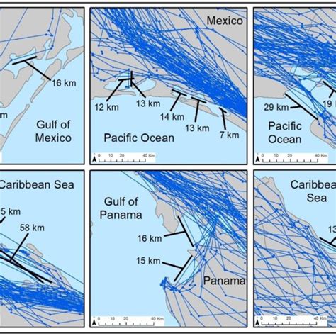 5. Swainson's hawk migration routes that indicated birds may have ...