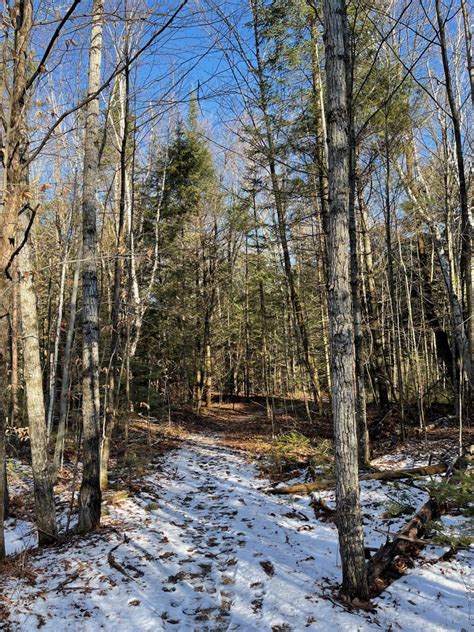 Hike This: Logan Creek Trails - Door County Pulse