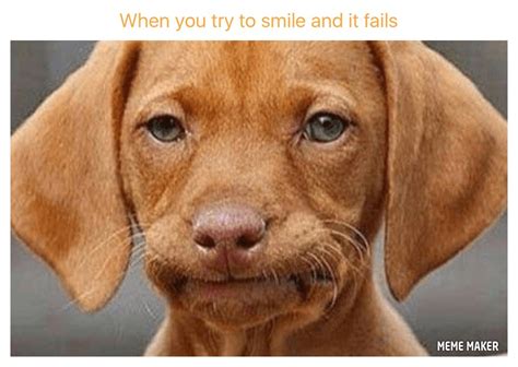 When you try to smile - I Has A Hotdog - Dog Pictures - Funny pictures of dogs - Dog Memes ...