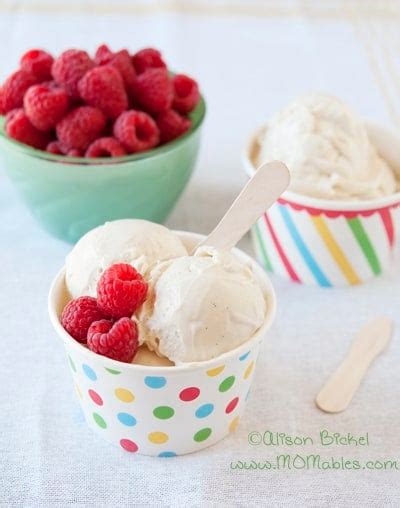 Vanilla Bean Frozen Yogurt Recipe