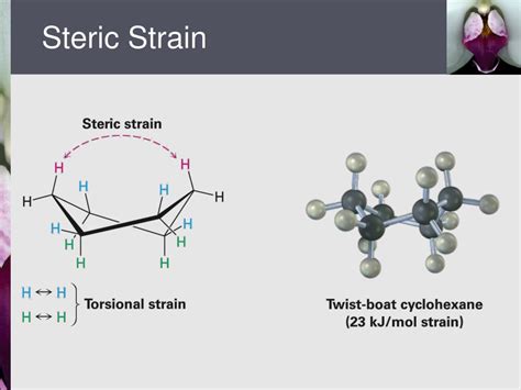 PPT - Chapter 4 Organic Compounds: Cycloalkanes and their Stereochemistry PowerPoint ...