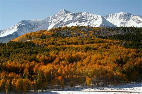 Mount Wilson in autumn from Silver Pick road Photograph by Jetson Nguyen