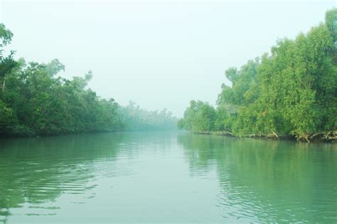 Sundarban , BANGLADESH | Green Wallpaper