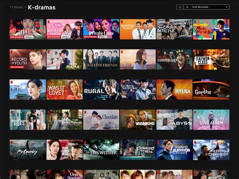 Is Netflix Good for Korean Dramas? | by Chelsie Messenger | Ramyeon & Chill | Medium