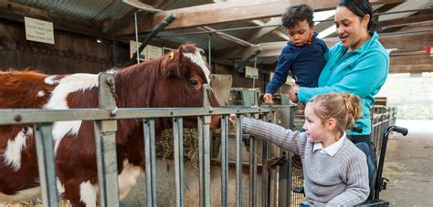 Farmyard & playground