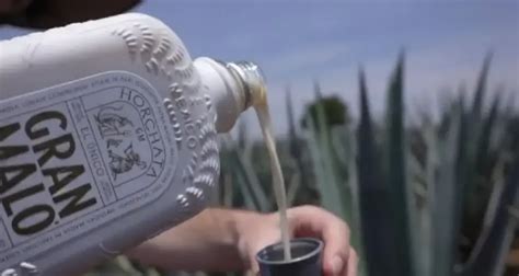 Where to Find the Finest Gran Malo Tequila: A Guide for Spirits Enthusiasts – Bourbon Master