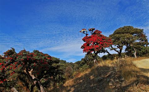 Chin State & Rakhine - Asian Tour Myanmar